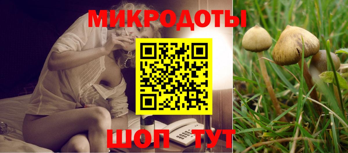 Казань  Галлюциногенные грибы прущие грибы  Вход с VPN 