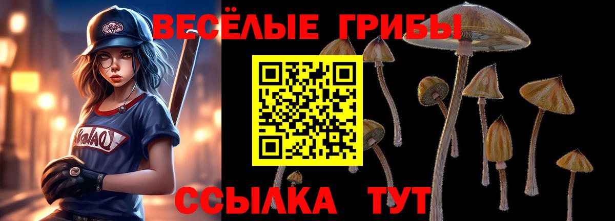 Псилоцибиновые грибы Cubensis Казань