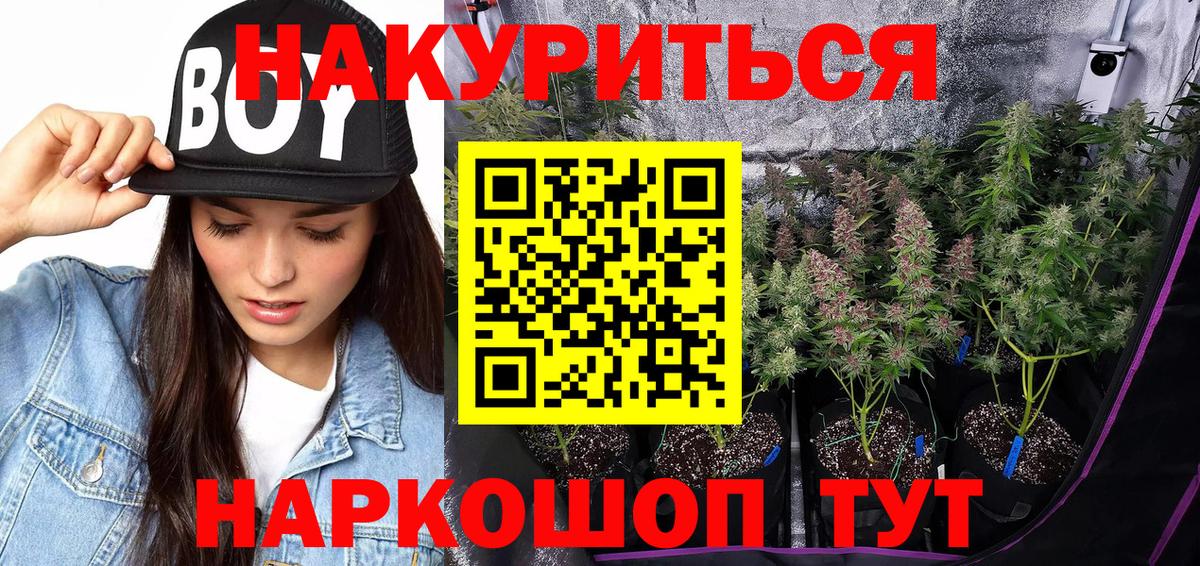 Шишки марихуана гибрид  Вход с VPN  Шишки марихуана LSD WEED  Марихуана сатива  Казань  Марихуана SATIVA & INDICA 